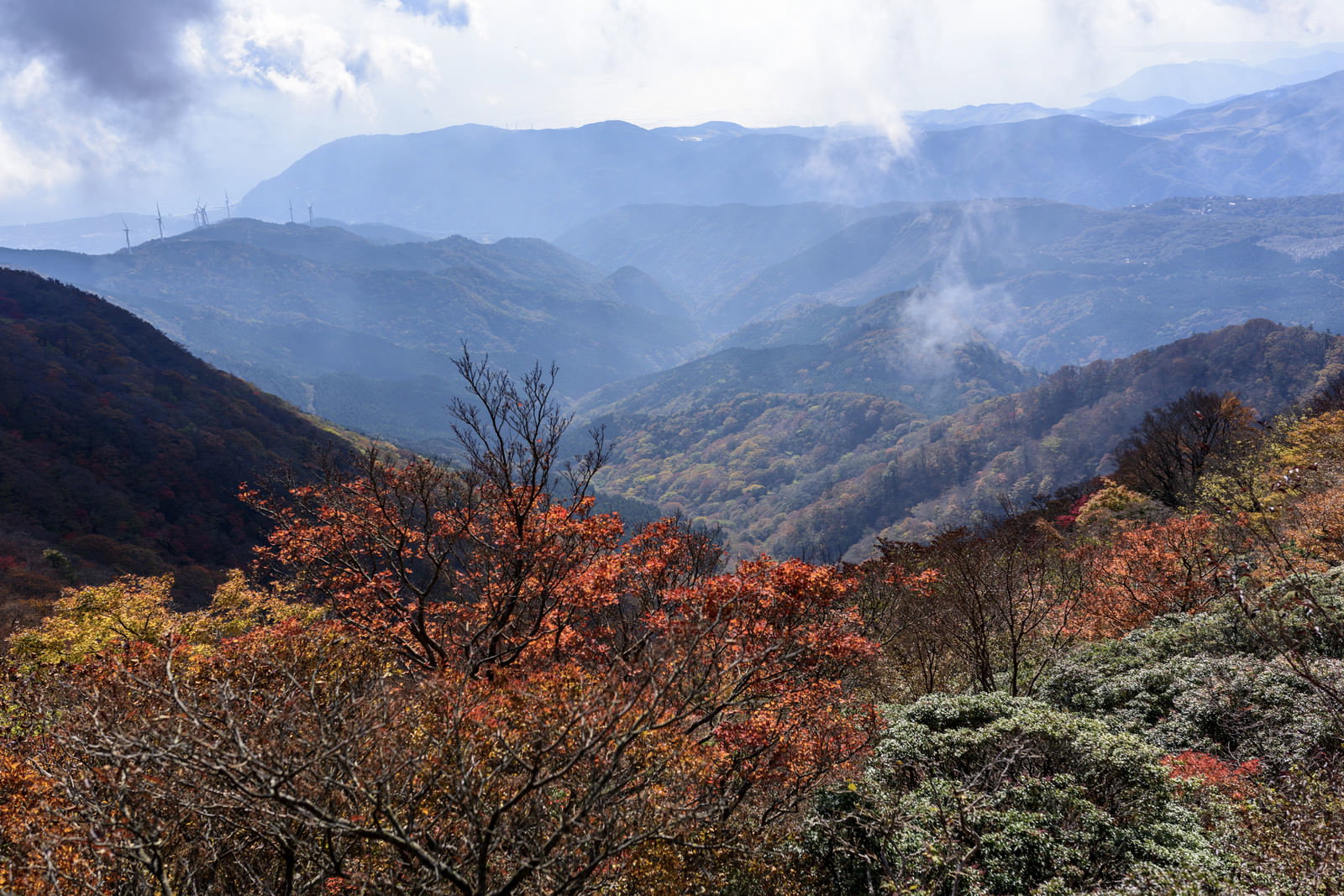 天城山稜線から望む紅葉に彩られた伊豆の山並み