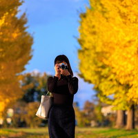 黄金色のイチョウ並木で撮影するカメラ女子の写真