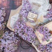 溢れるライラックとトランクケース、洋書に囲まれたアンティークの写真