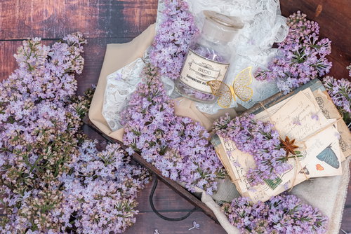 溢れるライラックとトランクケース、洋書に囲まれたアンティーク