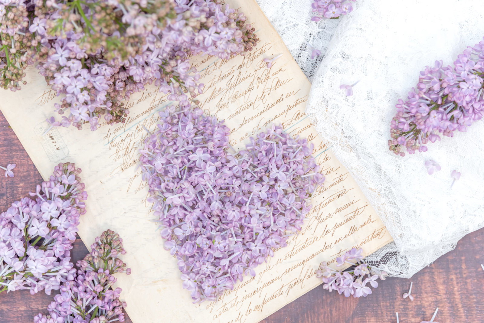 洋書のページの上にライラックの花びらで作られたハート形