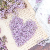 洋書のページの上に紫色のライラックの花びらで作ったハートの写真