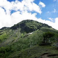 6月の日光白根山山頂を見上げる青空の風景の写真