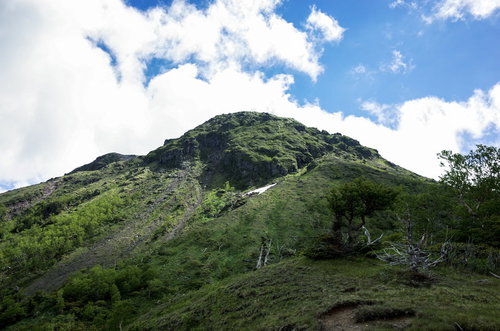 6月の日光白根山山頂を見上げる青空の風景