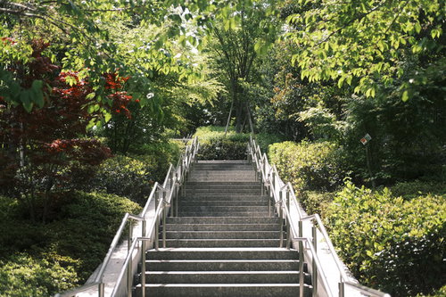 みどりに彩られた木製の階段