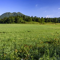 ニッコウキスゲが咲く尾瀬の湿原と燧ヶ岳の絶景の写真