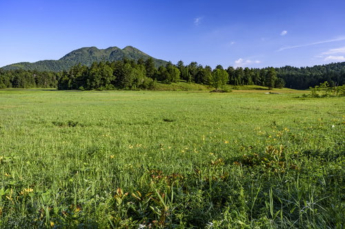 ニッコウキスゲが咲く尾瀬の湿原と燧ヶ岳の絶景