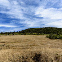 秋の草紅葉に染まる西吾妻山の山頂付近の草原風景の写真