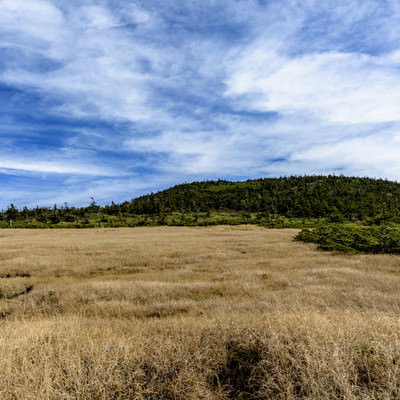 秋の草紅葉に染まる西吾妻山の山頂付近の草原風景の写真