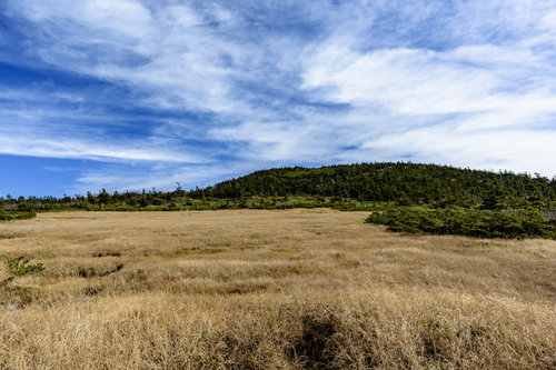 秋の草紅葉に染まる西吾妻山の山頂付近の草原風景
