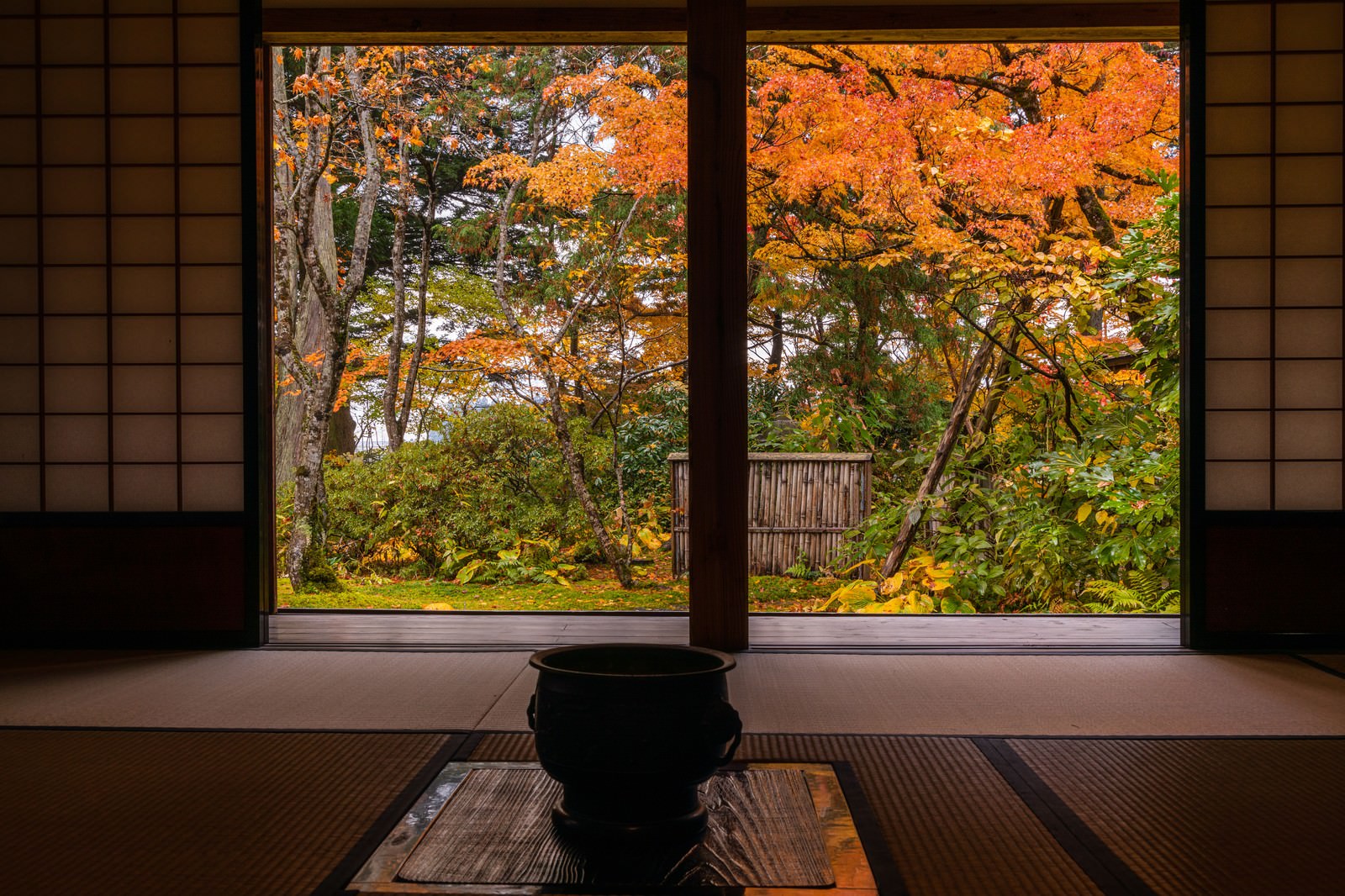障子窓から見える色鮮やかな紅葉の庭園と畳の和室
