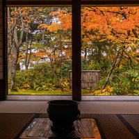 障子越しに見る秋の紅葉と和室の庭、畳と座卓の写真