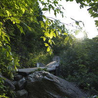 大清水から尾瀬へと向かう登山道 燧ヶ岳への登山ルートの写真