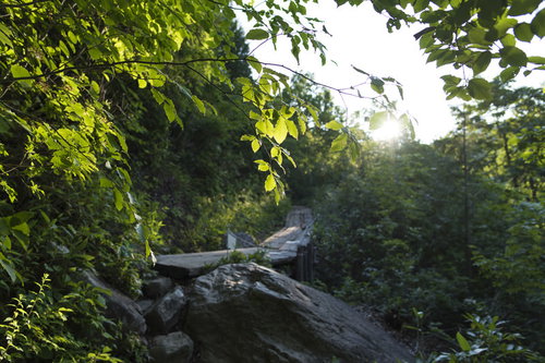 大清水から尾瀬へと向かう登山道 燧ヶ岳への登山ルート