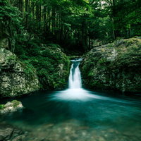 白賀渓谷の上流にある小さな滝と清流の景観の写真