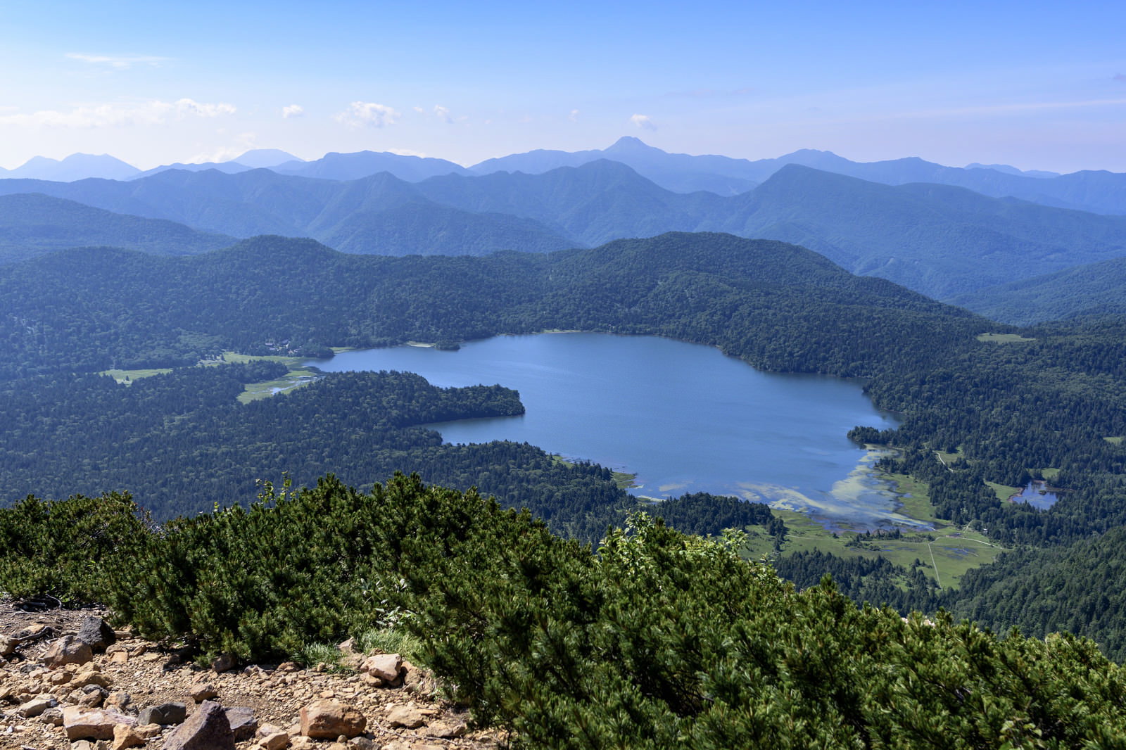 青空の下、緑の森林に囲まれた尾瀬沼と背景の山脈