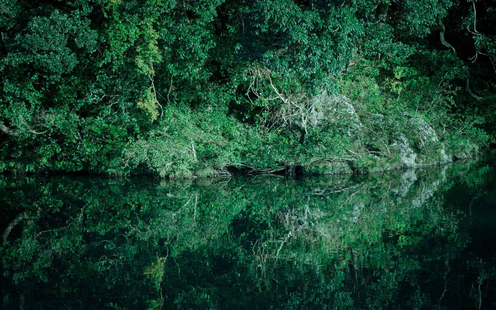 緑豊かな木々が川の水面に映り込み、揺らめくリフレクションを作る自然風景