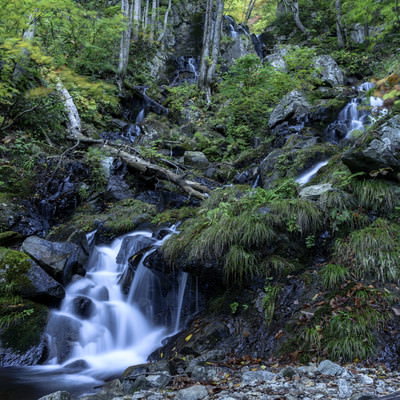 西吾妻山の渓流と苔むした岩｜日本百名山の自然風景の写真