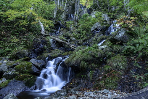 西吾妻山の渓流と苔むした岩｜日本百名山の自然風景