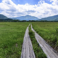まっすぐ伸びる尾瀬の木道と日本百名山の至仏山の写真