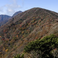 秋の紅葉に包まれる万三郎岳と青空の山稜線の写真