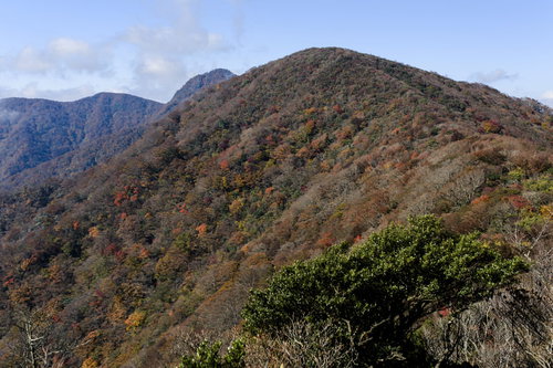 秋の紅葉に包まれる万三郎岳と青空の山稜線