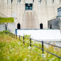 苫田ダムの正面と手前に生い茂る緑の草と青空の写真