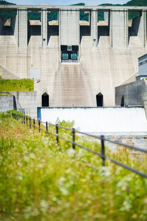 苫田ダムの正面と手前に生い茂る緑の草と青空