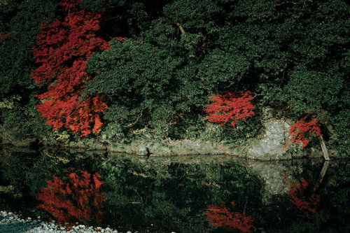川端に映る木々と紅葉、水面に映りこむ秋の風景