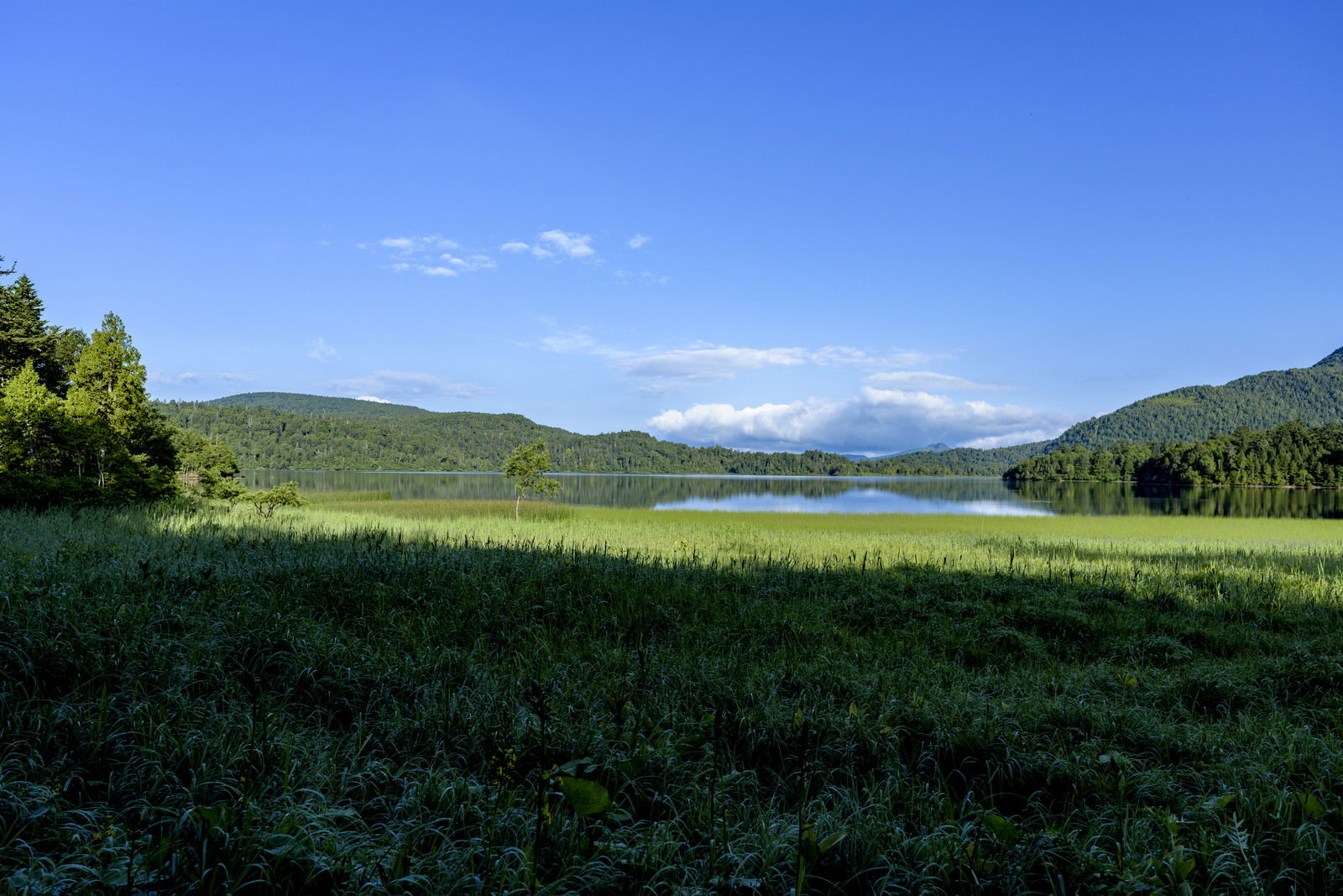 青空の下に広がる尾瀬の湿原と背景にそびえる燧ヶ岳の山並み