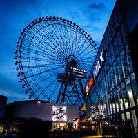 夜の大阪観覧車（レッドホークスオオサカホイール）の写真