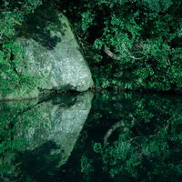 川面に揺らめく木々のリフレクションの写真