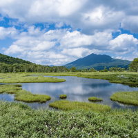 尾瀬ヶ原の湿原と日本百名山の燧ヶ岳の登山風景の写真