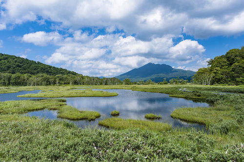 尾瀬ヶ原の湿原と日本百名山の燧ヶ岳の登山風景