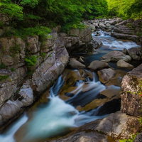 岡山県鏡野町の奥津渓、6月中旬の新緑と清流が流れる渓谷の写真