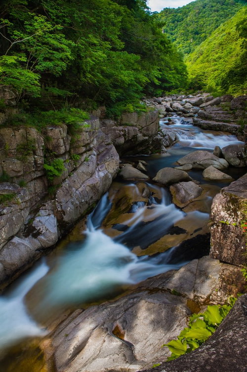 岡山県鏡野町の奥津渓、6月中旬の新緑と清流が流れる渓谷