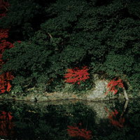 川沿いの木々と紅葉が水面に映る秋の風景の写真