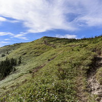 西吾妻山方面から見る西大巓の山岳風景と高山植物の写真