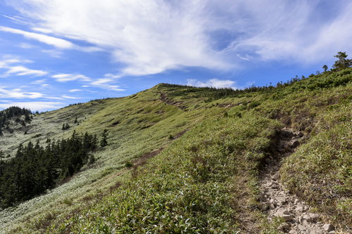 西吾妻山方面から見る西大巓の山岳風景と高山植物