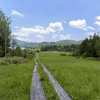 尾瀬ヶ原の木道と湿原風景の写真