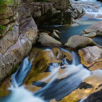 養蜂家が巣枠を持ち上げるミツバチの巣箱の写真