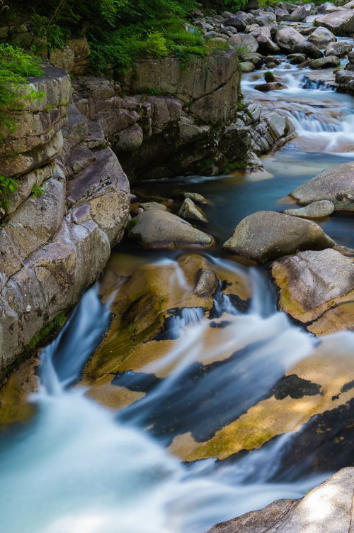 養蜂家が巣枠を持ち上げるミツバチの巣箱