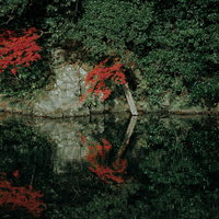 波紋に揺れる川端の木々と紅葉の水鏡映像の写真