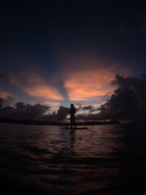 夕暮れの海でパドルボートを漕ぐ男性のシルエット