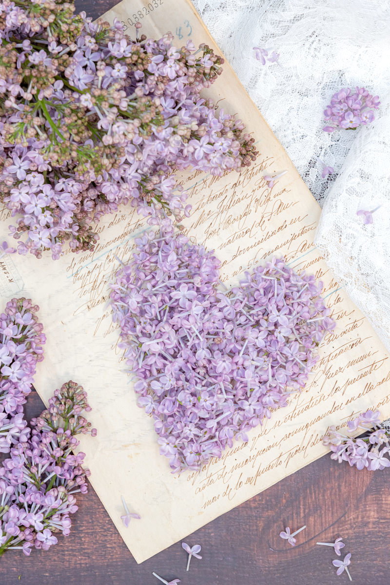 白い手紙の上にハート形に散らされた紫色のライラックの花
