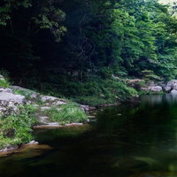 岡山県鏡野町・奥津渓の穏やかな流れと新緑の渓谷美の写真