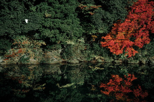 一部が赤く紅葉した木々と水鏡に映る川風景