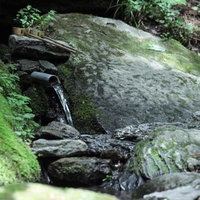 子宝の名水「岩井」の苔むした岩場を流れる湧水の写真