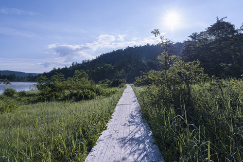 日本百名山・燧ヶ岳の尾瀬沼湖畔に延びる木道と湖