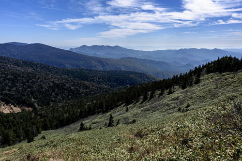 西大巓直下の笹原から見わたす吾妻連峰と山々